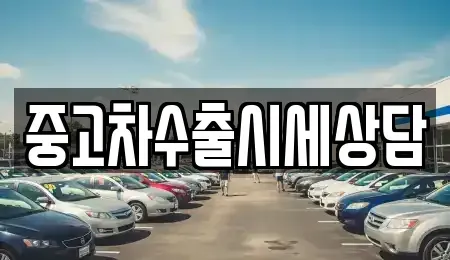 경상북도 안동시 율세동 중고차매매 전문 중고차수출시세상담