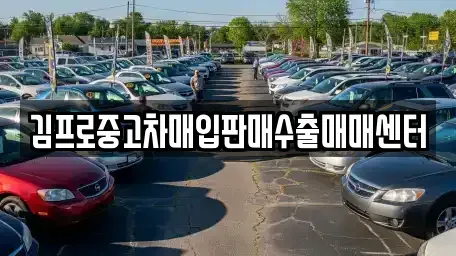 경상북도 안동시 율세동 중고차매입 전문 김프로중고차매입판매수출매매센터