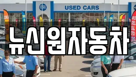 경상북도 영주시 상줄동 중고차매매 전문 뉴신원자동차