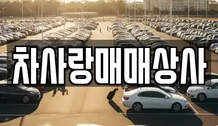 경상북도 영주시 창진동 중고차매매 전문 차사랑매매상사
