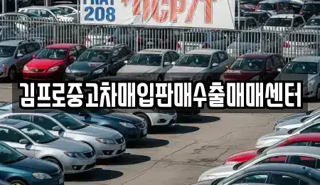 경상북도 영천시 고경면 중고차 전문 김프로중고차매입판매수출매매센터