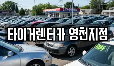 경상북도 영천시 교촌동 렌트카 전문 타이거렌터카 영천지점