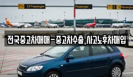 경상북도 영천시 교촌동 중고차 전문 전국중고차매매-중고차수출,사고노후차매입