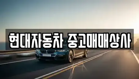 경상북도 영천시 교촌동 중고차 전문 현대자동차 중고매매상사