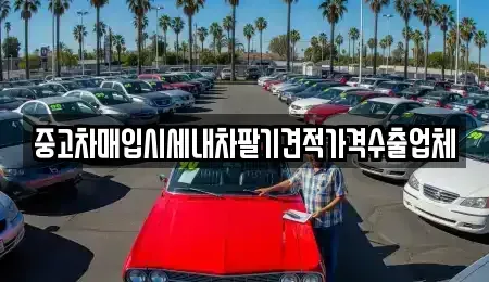 경상북도 영천시 교촌동 중고차매입 전문 중고차매입시세내차팔기견적가격수출업체