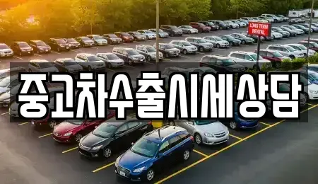 경상북도 영천시 임고면 중고차매매 전문 중고차수출시세상담