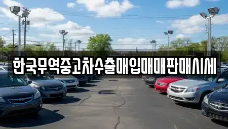 경상북도 영천시 임고면 중고차매입 전문 한국무역중고차수출매입매매판매시세