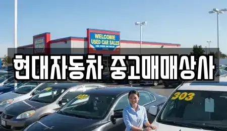 경상북도 영천시 중고차 전문 현대자동차 중고매매상사
