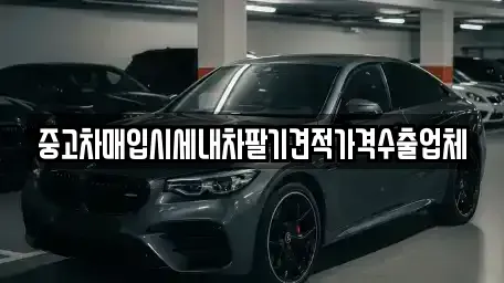 경상북도 영천시 중고차매입 전문 중고차매입시세내차팔기견적가격수출업체