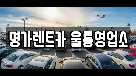 경상북도 울릉군 북면 렌트카 전문 명가렌트카 울릉영업소