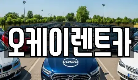 경상북도 울릉군 북면 렌트카 전문 오케이렌트카