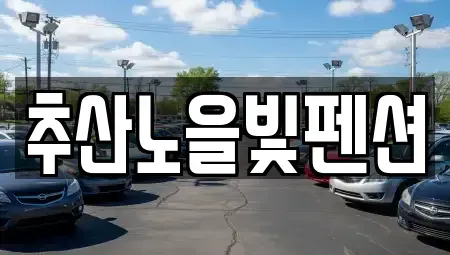 경상북도 울릉군 북면 렌트카 전문 추산노을빛펜션
