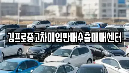경상북도 울릉군 북면 중고차매매 전문 김프로중고차매입판매수출매매센터