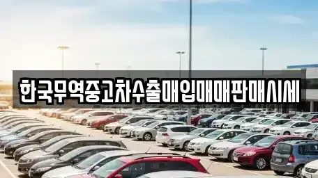경상북도 울릉군 북면 중고차매매 전문 한국무역중고차수출매입매매판매시세