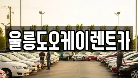 경상북도 울릉군 울릉읍 렌트카 전문 울릉도오케이렌트카