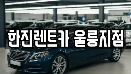 경상북도 울릉군 울릉읍 렌트카 전문 한진렌트카 울릉지점