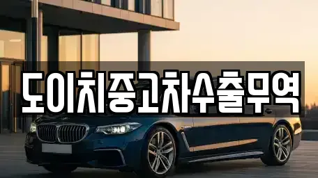 경상북도 울릉군 울릉읍 중고차 전문 도이치중고차수출무역