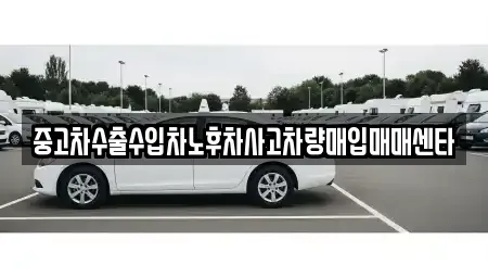 경상북도 울릉군 울릉읍 중고차 전문 중고차수출수입차노후차사고차량매입매매센타