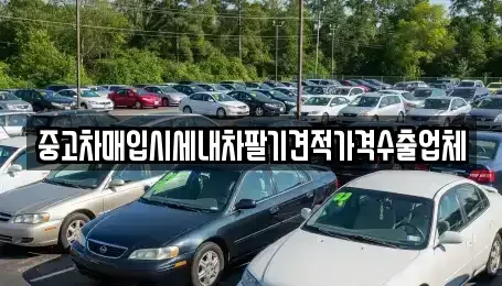 경상북도 의성군 단촌면 중고차매입 전문 중고차매입시세내차팔기견적가격수출업체