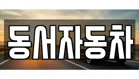 경상북도 포항시 북구 대흥동 중고차매매 전문 동서자동차