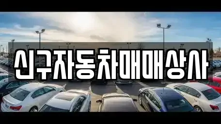 경상북도 포항시 북구 대흥동 중고차매매 전문 신구자동차매매상사