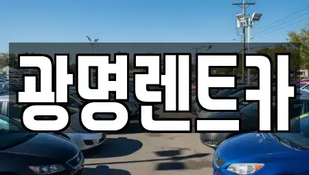 경상북도 포항시 북구 동빈1가 렌트카 전문 광명렌트카