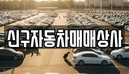 경상북도 포항시 북구 동빈1가 중고차 전문 신구자동차매매상사