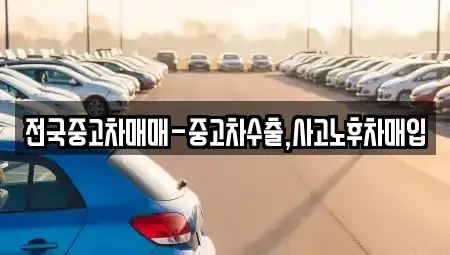 경상북도 포항시 북구 동빈1가 중고차 전문 전국중고차매매-중고차수출,사고노후차매입