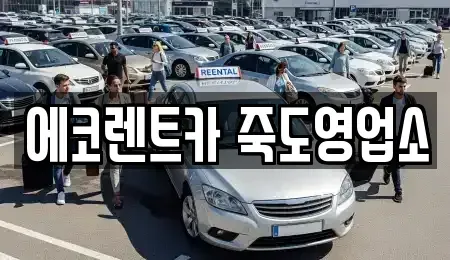경상북도 포항시 북구 득량동 렌트카 전문 에코렌트카 죽도영업소