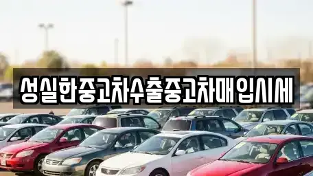 경상북도 포항시 북구 득량동 중고차매입 전문 성실한중고차수출중고차매입시세