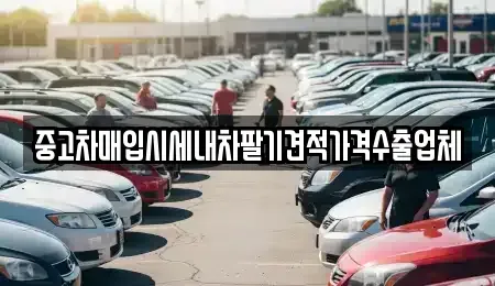 경상북도 포항시 북구 득량동 중고차매입 전문 중고차매입시세내차팔기견적가격수출업체