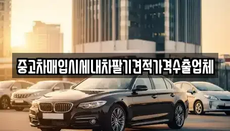 경상북도 포항시 북구 장성동 중고차매입 전문 중고차매입시세내차팔기견적가격수출업체