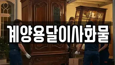 계양용달이사화물