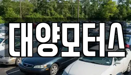 광주 광산구 송정동 중고차매매 전문 대양모터스