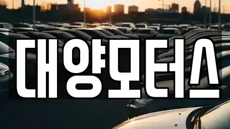 광주 동구 대의동 중고차 전문 대양모터스