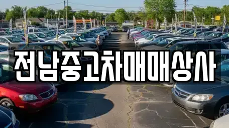 광주 동구 대의동 중고차 전문 전남중고차매매상사