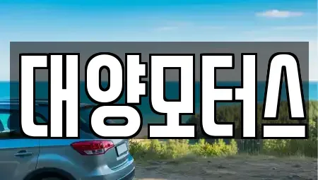 광주 북구 신안동 중고차 전문 대양모터스