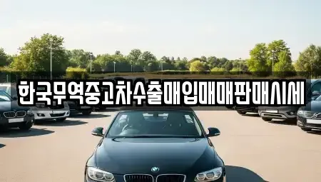 광주 북구 신안동 중고차 전문 한국무역중고차수출매입매매판매시세