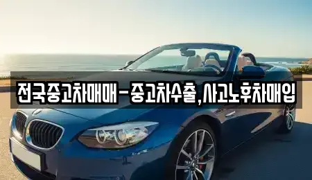 광주 북구 신안동 중고차매매 전문 전국중고차매매-중고차수출,사고노후차매입