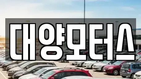 광주 북구 화암동 중고차매매 전문 대양모터스