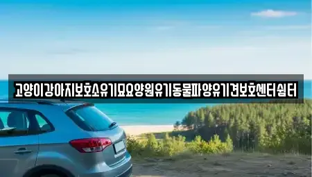 광주광역시 광산구 대산동 중고차 전문 고양이강아지보호소유기묘요양원유기동물파양유기견보호센터쉼터