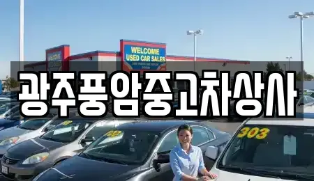 광주광역시 광산구 동호동 중고차 전문 광주풍암중고차상사