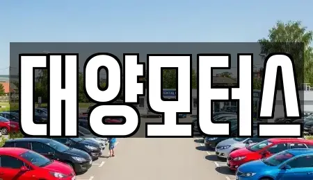광주광역시 광산구 신룡동 중고차 전문 대양모터스