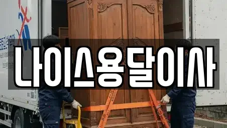 나이스용달이사