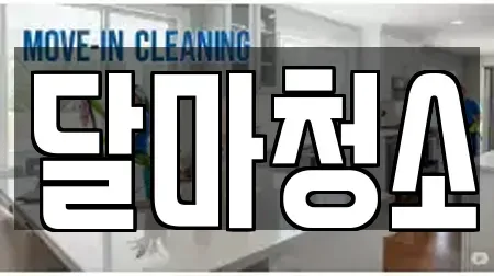 달마청소