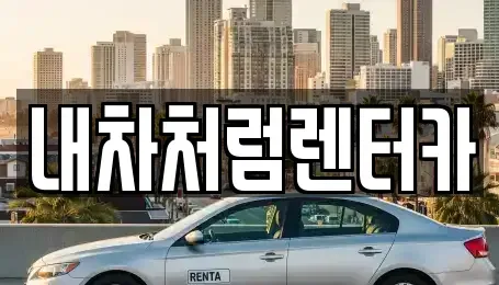 대구 동구 신서동 렌트카 전문 내차처럼렌터카