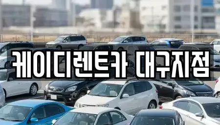 대구 동구 신서동 렌트카 전문 케이디렌트카 대구지점