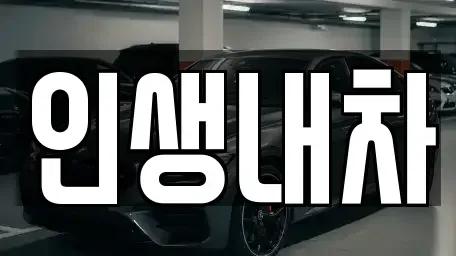 대구 동구 신서동 중고차매입 전문 인생내차