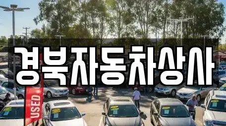 대구 동구 지묘동 중고차 전문 경북자동차상사