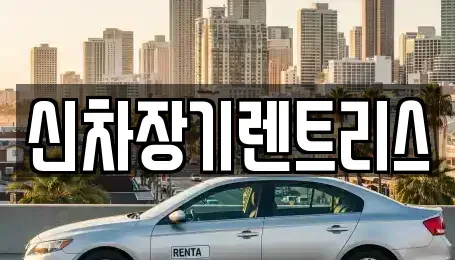 대구 북구 침산동 장기렌트카 전문 신차장기렌트리스